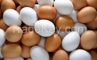 GRADE "A" WHITE AND BROWN TABLE EGGS FOR SALE