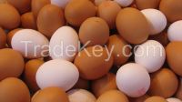 High Fresh Table Eggs Brown And White GRADE "A"FOR SALE