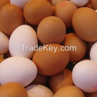 Fresh farm standard white and brown chicken eggs for sale