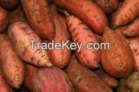GRADE ''A'' SWEET POTATOES FOR SALE