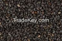 Natural White Sesame Seeds