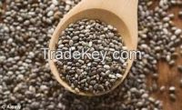 Oil Chia Seeds, White Chia Seeds, Black Chia Seeds