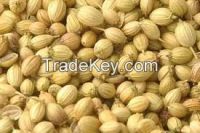 Quality Coriander Seeds/ Coriander Powder