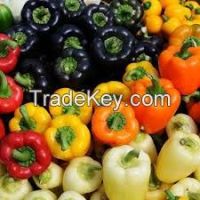 Fresh Capsicums, cassava, carrots, okra, onions