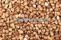 Buckwheat , Hempseeds, White Broomcorn Millet, Perilla Seeds