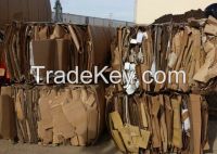 waste paper, paper, dishware, plate, tableware, oinp