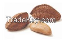 Brazil Nuts In Shell