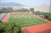 Popular Artificial Grass