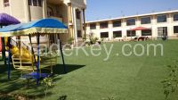 Multi-functional Artificial Grass