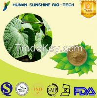 Herb Medicine Kava Extract powder Kavalactones Powder 70% 30%