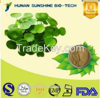 KOSHER/Gotu Kola Extract Powder/Asiaticoside 10%-90%