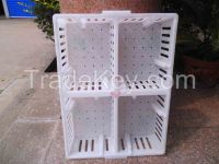 Plastic chick transport crate