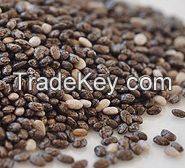 Premium Grade Organic Chia seeds for sale at affordable prices