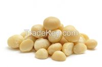 Premium Quality Macadamia Nut for Sale at affordable Prices