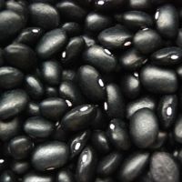 A grade black kidney beans for sale at best price