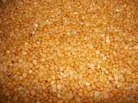 Whole & Split lentils for sale.