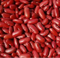 Dark Kidney beans for sale.