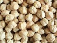 Round Kabuli Chickpeas for sale.