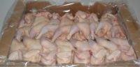 High quality Frozen chicken products at affordable prices.