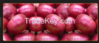 Fresh Onion/Yellow Onion/red onion