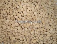 Ginseng Seeds