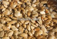 Pumpkin Seeds