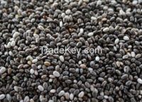 Blackberries Seeds