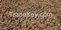 Sugar Beets Seeds