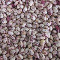 Light Speckled Kidney Beans on sale