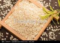 Peeled Sesame seeds