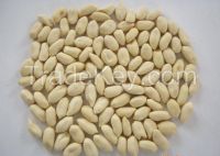 Blanched peanut  kernel 24/28