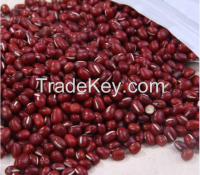 Hot sale Small Red beans