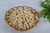 High quality Peanut kernel
