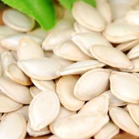 Sell High quality Pumpkin seeds and kernels