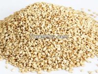 Natural white Sesame seeds