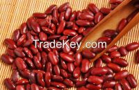 organic dark red kidney beans for sale