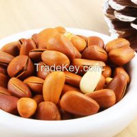 Sell Pine nut, high-quality