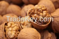 Walnuts With Or Without Shell