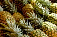 Fresh Pineapples for sale