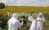 Beekeeping Supplier Pakistan