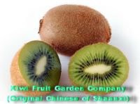 Sell kiwi fruit garden, kiwi fruit manufacturer, hayward kiwi fruit