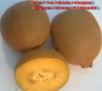 Sell macaque peach, yang Tao (sunny peach) or Mihou Tao (macaque peach)