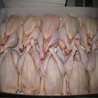 FROZEN HALAL CHICKEN FEET / FROZEN CHICKEN PAWS / WHOLE BRAZILIAN