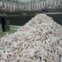 Frozen Whole Chicken and Parts / Gizzards / Thighs / Feet / Paws INSTOCK