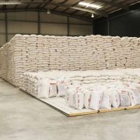Wheat Flour For Russia / Spain / USA / Ukraine