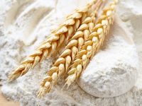 WHEAT FLOUR/ WHEAT STARCH