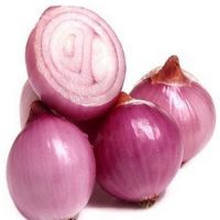 Fresh Natural Yellow Onion /Red Onion at Cheap price/Denmark