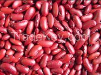 Kidney Beans