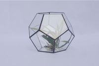 Sunshine Greenhouse, Mini landscape greenhouse, Small Terrarium Cube, glass vase, glass decoration, candle holder, stained glass cube
