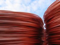 Selling  Copper Wire Rod oxygen-free